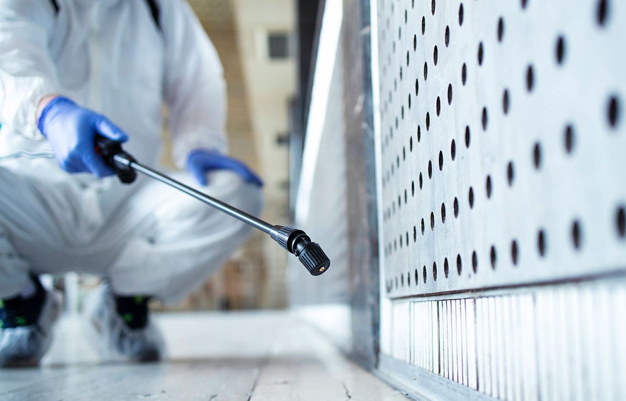 Desinfección y fumigación en Burgos gracias a Limpiezas Gloria