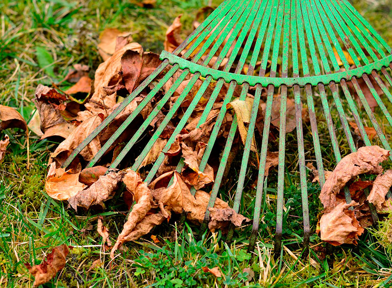Limpieza profesional de jardines en Burgos gracias a Limpiezas Gloria